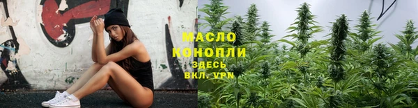 хмурый Бородино