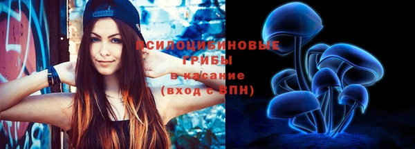 хмурый Бородино