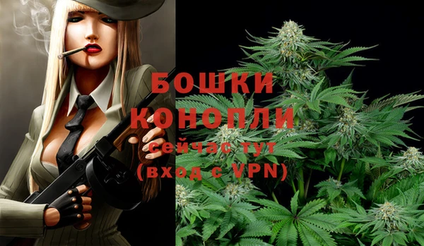хмурый Бородино