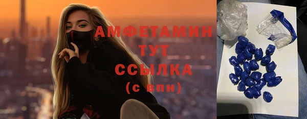 хмурый Бородино