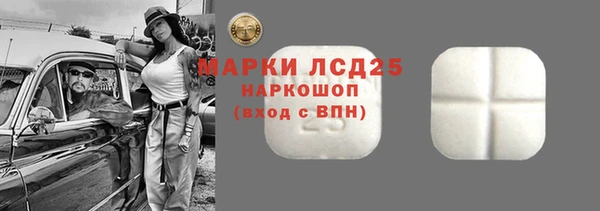 хмурый Бородино
