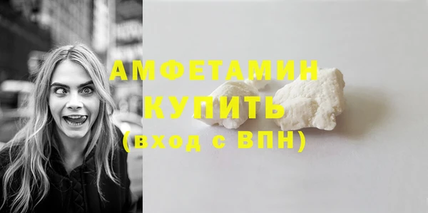 хмурый Бородино