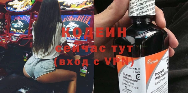 хмурый Бородино