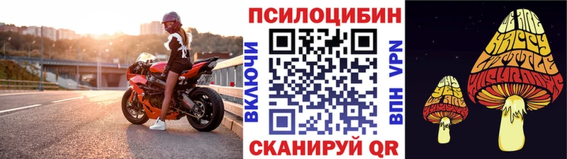 Галлюциногенные грибы Magic Shrooms  Мурманск 